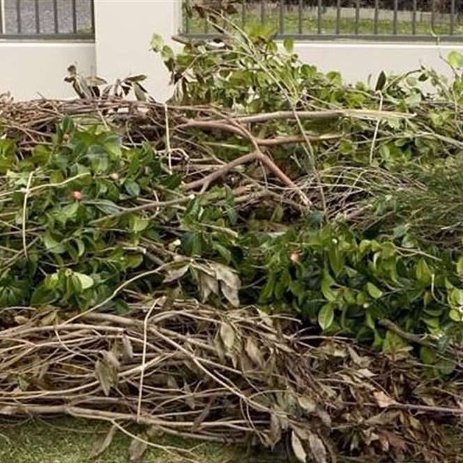 Blog Post Geelong Rubish Service